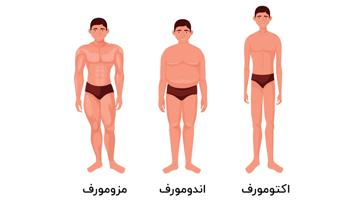 بررسی تیپ بدنی زنان و مردان بر اساس فیزیک