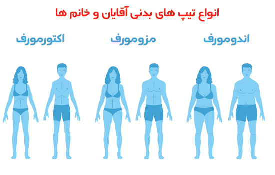 انواع تیپ بدنی در مردان و زنان